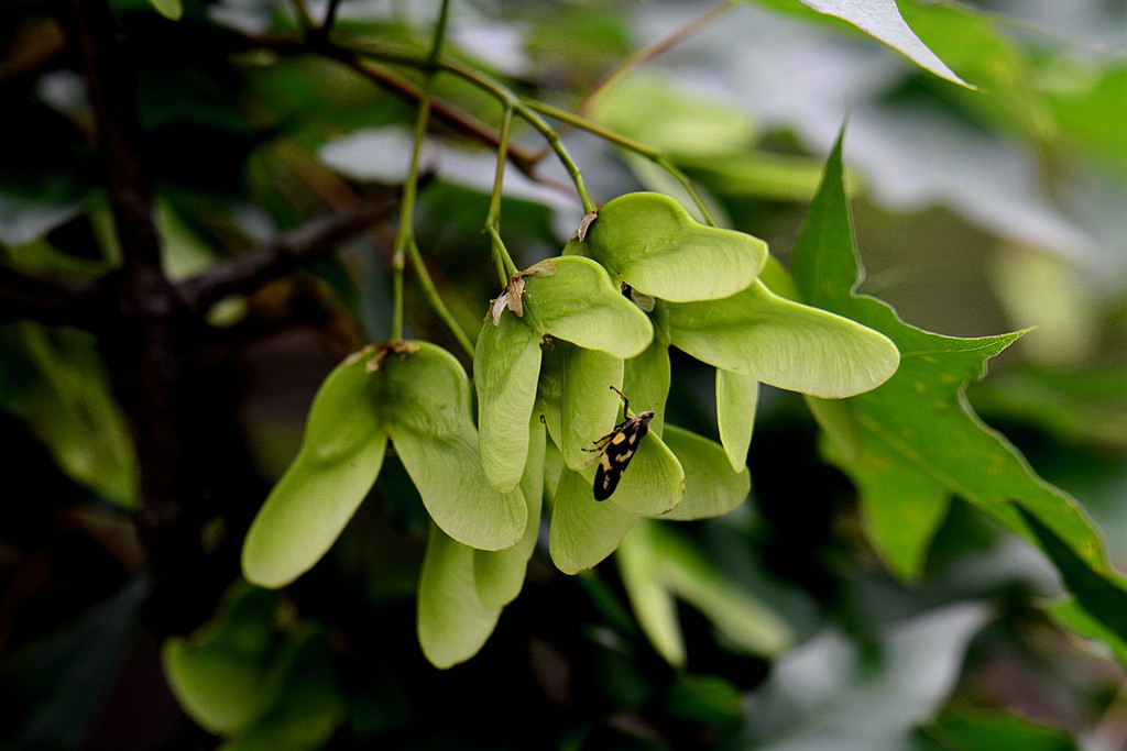 DSC_5453_副本.jpg