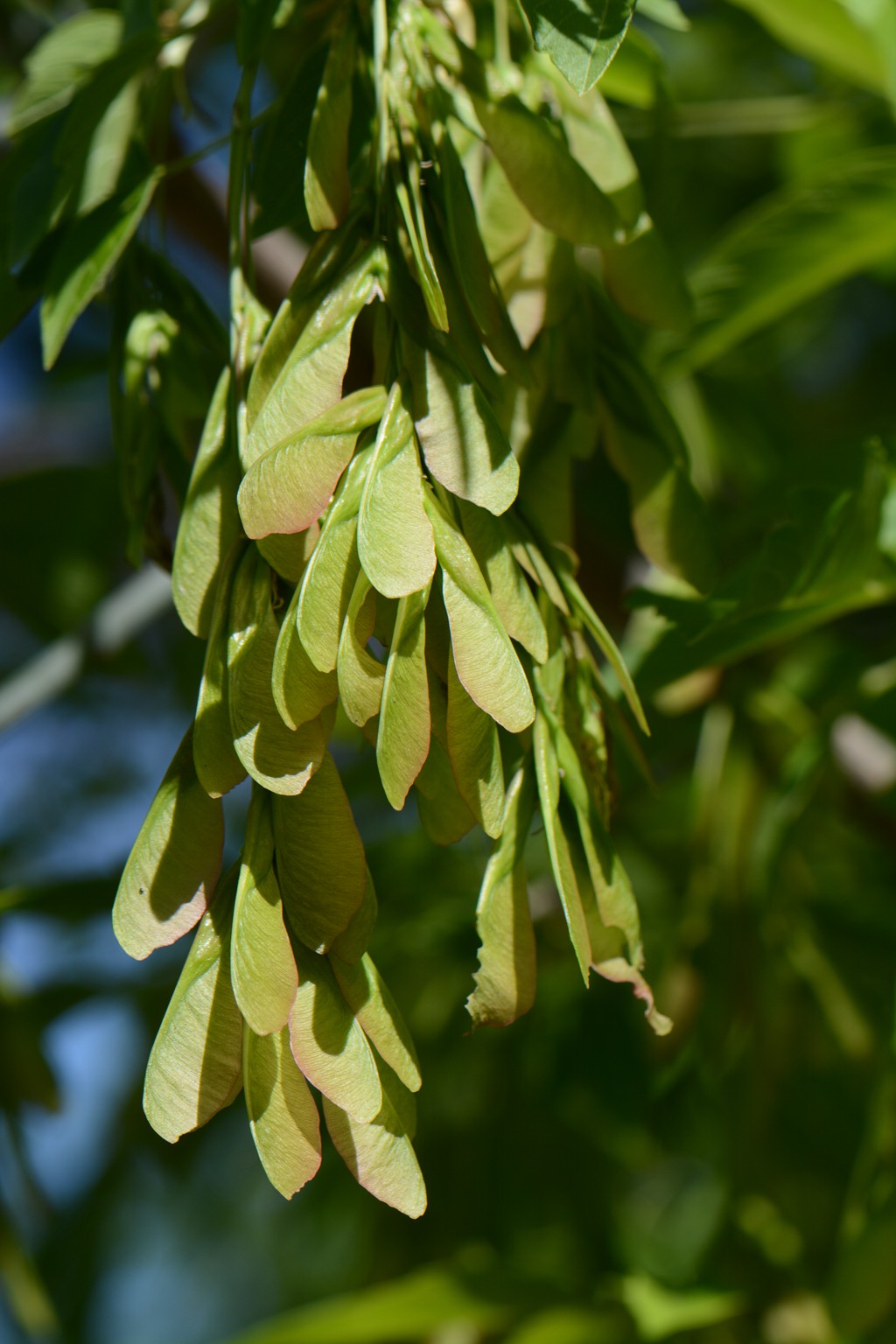 DSC-01-2_副本.jpg