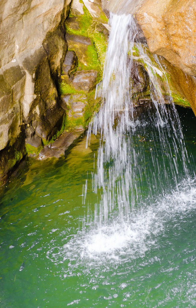 DSC_5782.jpg
