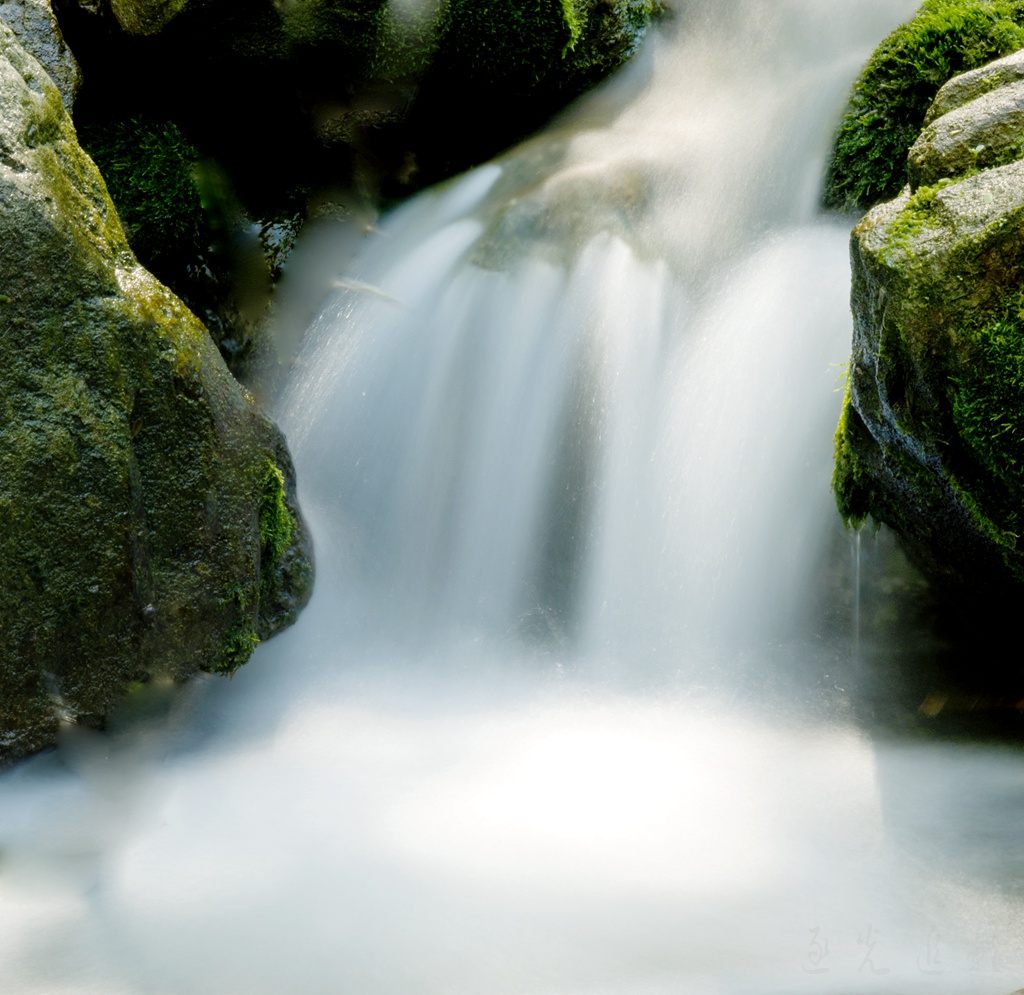DSC_5690.jpg