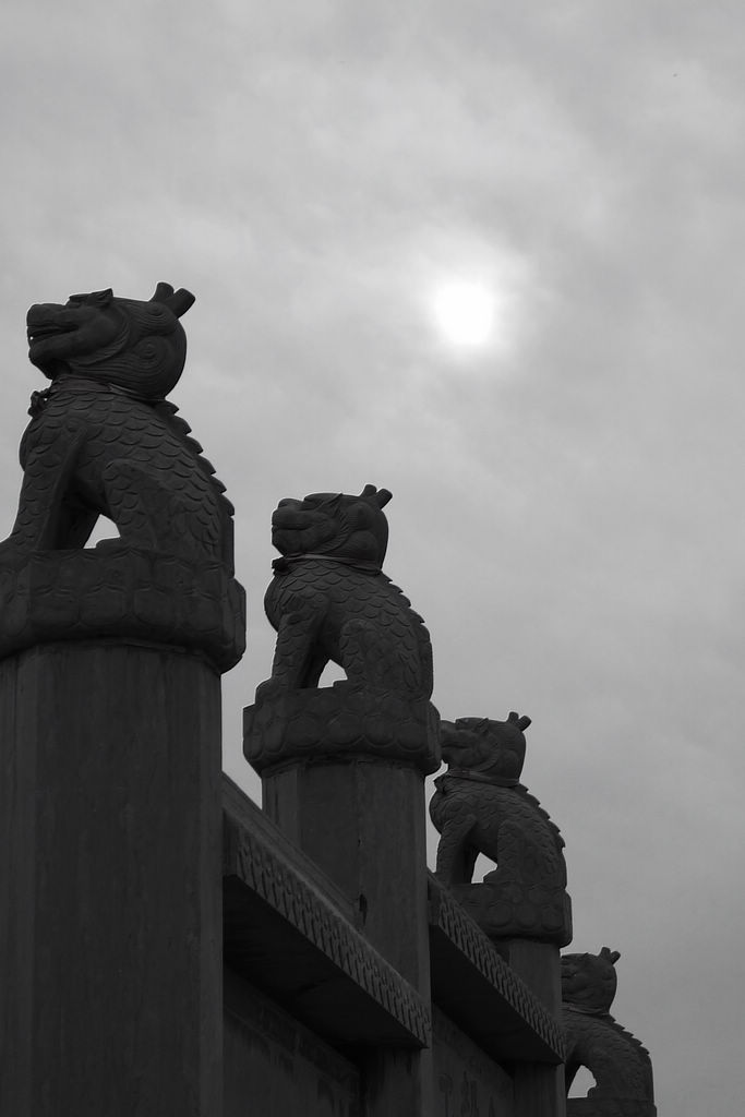 DSCF6470.JPG
