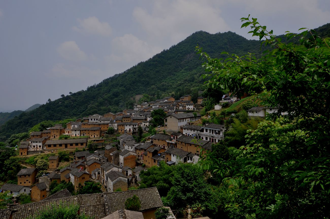 DSC_1479.JPG