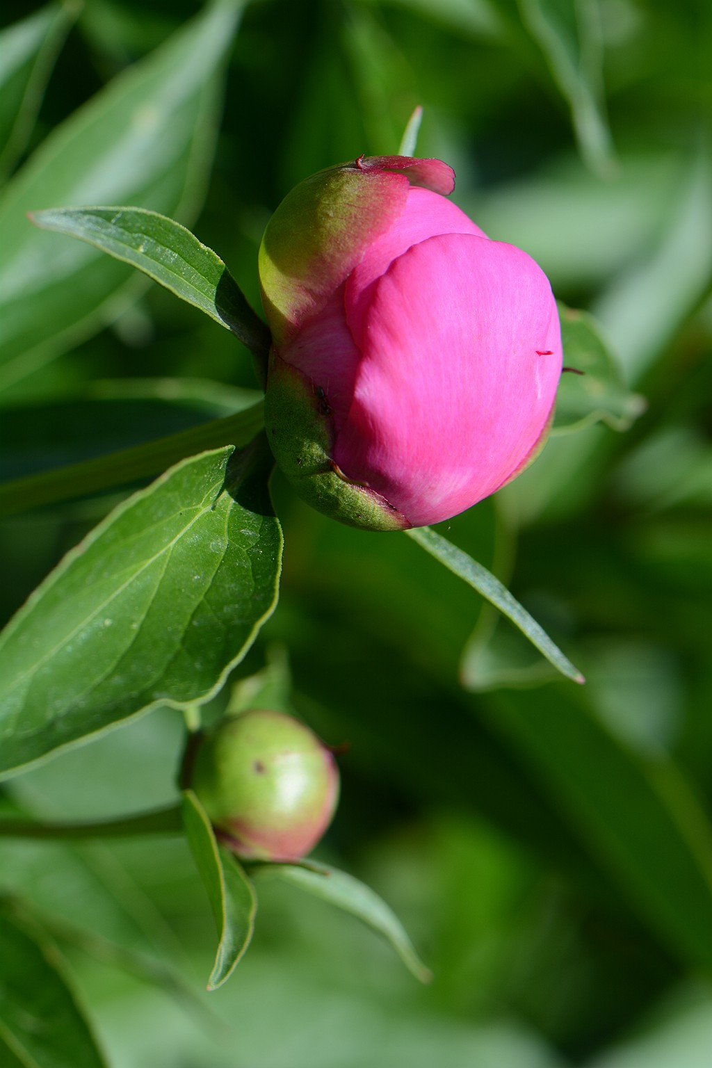 DSC_5484_副本.jpg