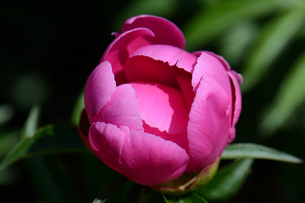 DSC_5485_副本.jpg