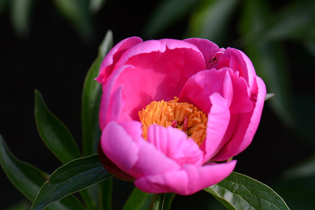 DSC_5492_副本.jpg