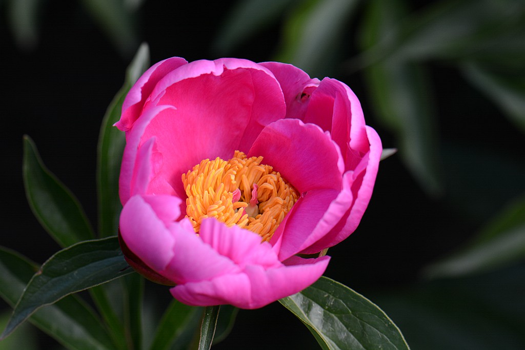 DSC_5493_副本.jpg