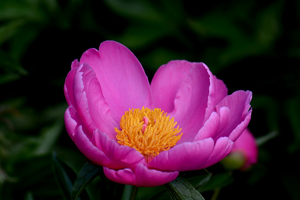 DSC_5494_副本.jpg