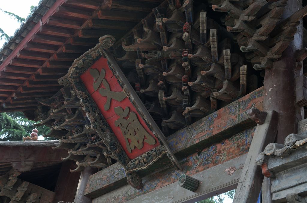 DSC_3011A.jpg