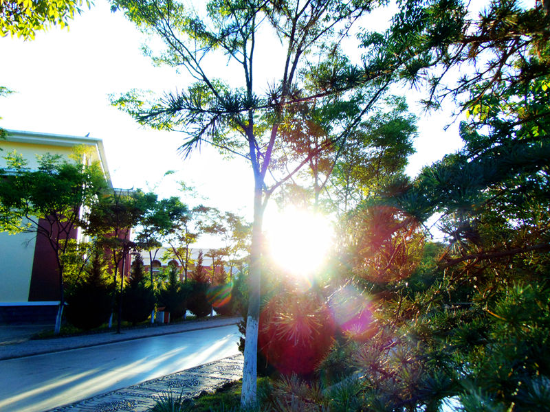 DSC01384_副本.jpg