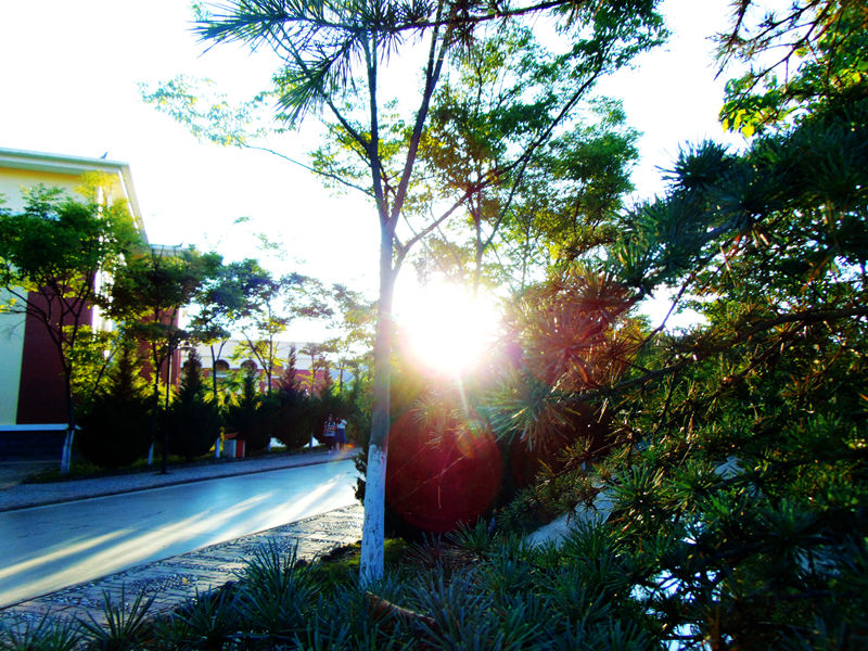 DSC01385_副本.jpg