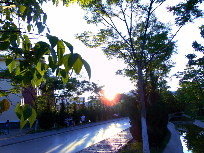 DSC01386_副本.jpg