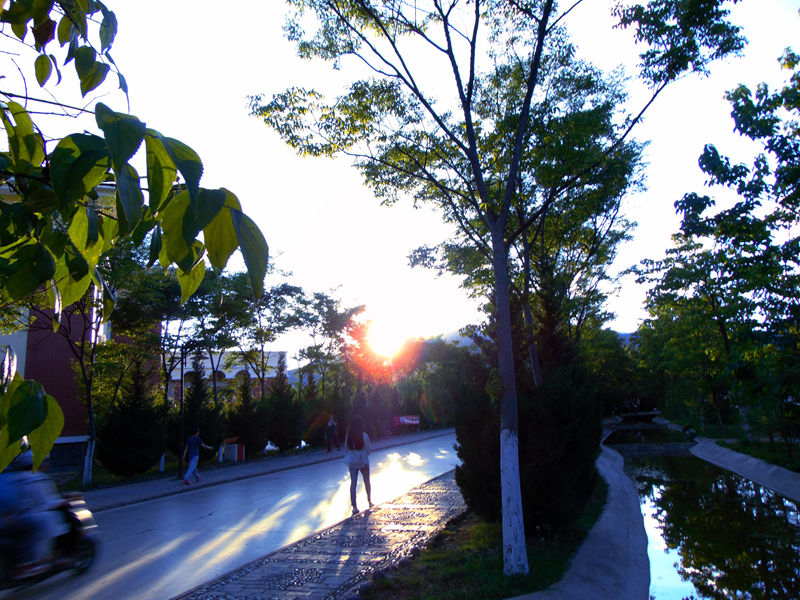 DSC01387_副本.jpg