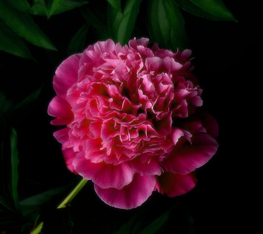 DSC_3486_副本.jpg