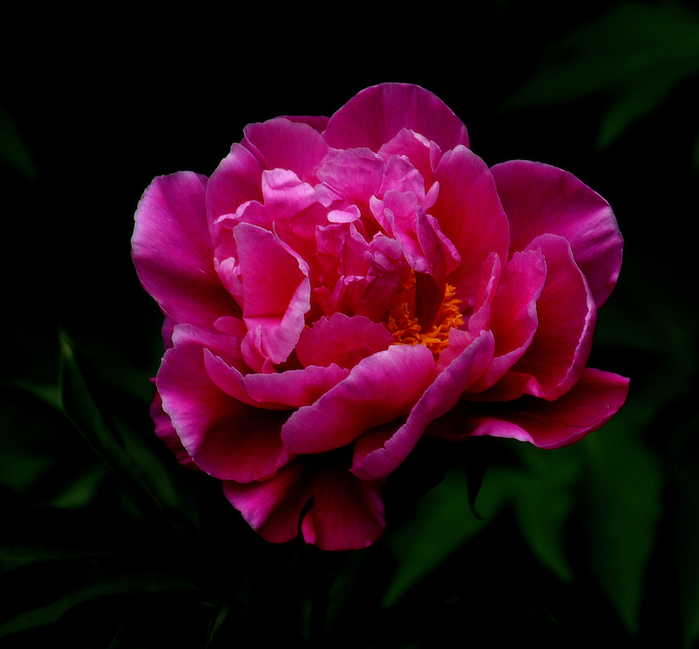 DSC_3488_副本.jpg