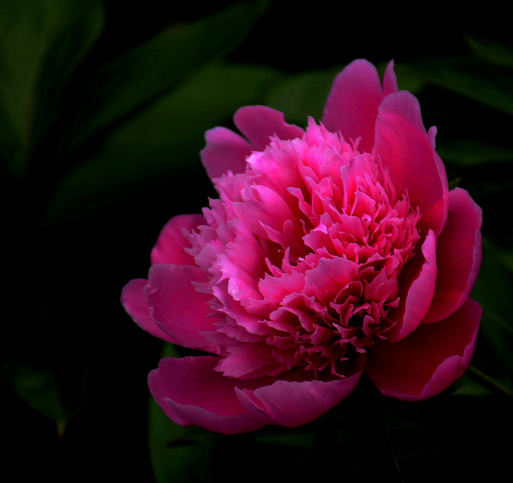 DSC_3490_副本.jpg