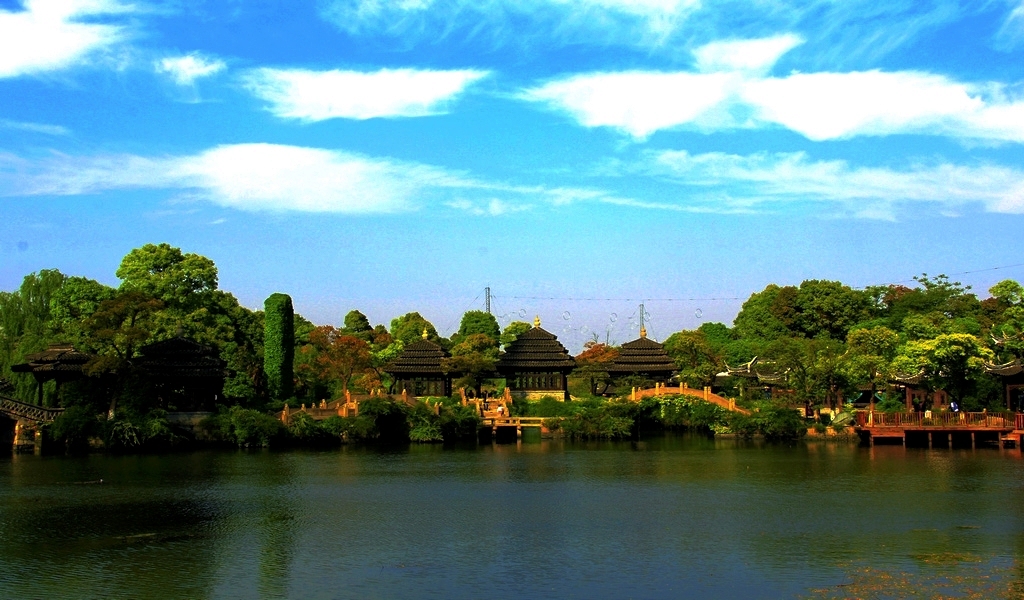 049_conew3.jpg