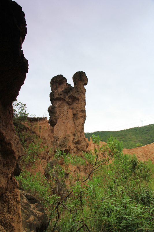IMG_8705_副本.jpg