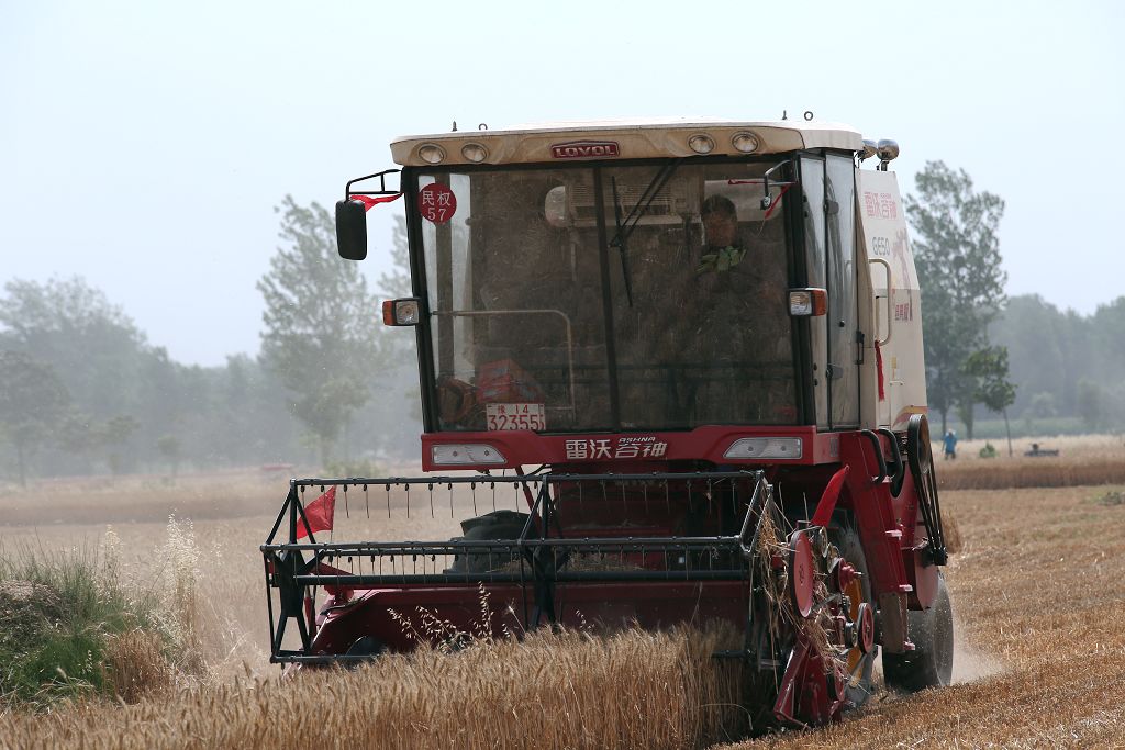 2R5A3008.jpg