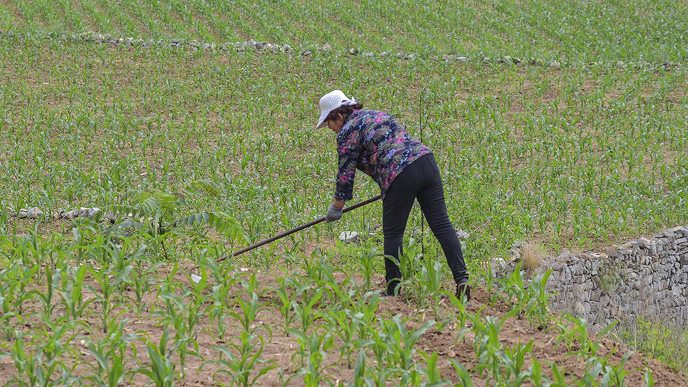 2015年6月6日昔阳长岭a 0251.jpg