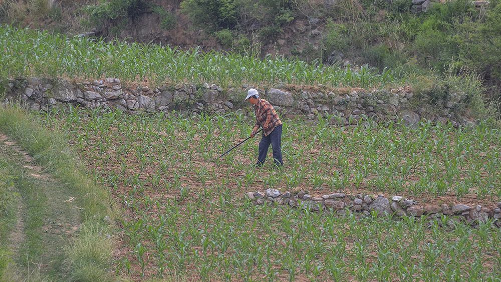 2015年6月6日昔阳长岭 a0291.jpg