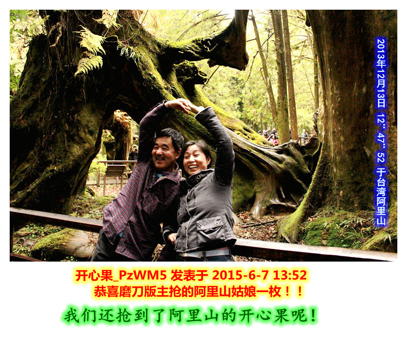 _mg_1752_2013年12月13日 12：47：52 于台湾阿里山_我们还抢到了阿里山的开心果呢！.jpg