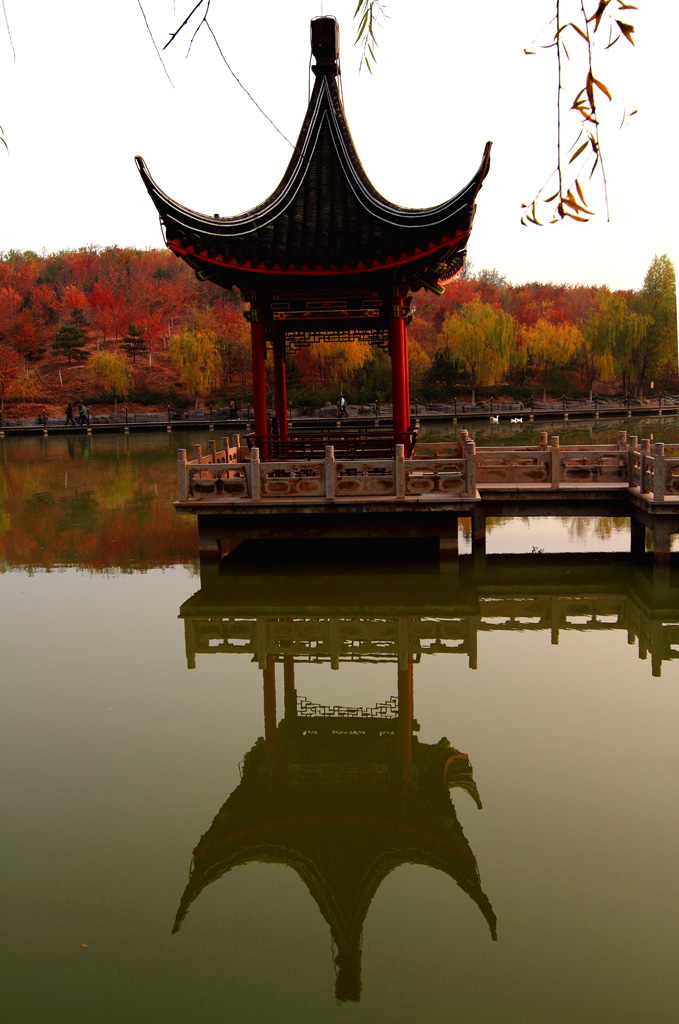 _MG_1148.JPG