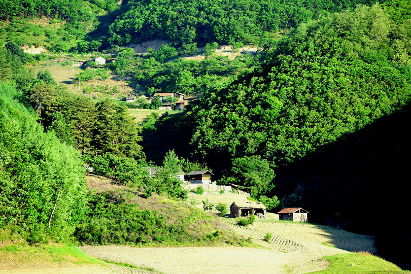 DSC_0885_副本_副本.jpg