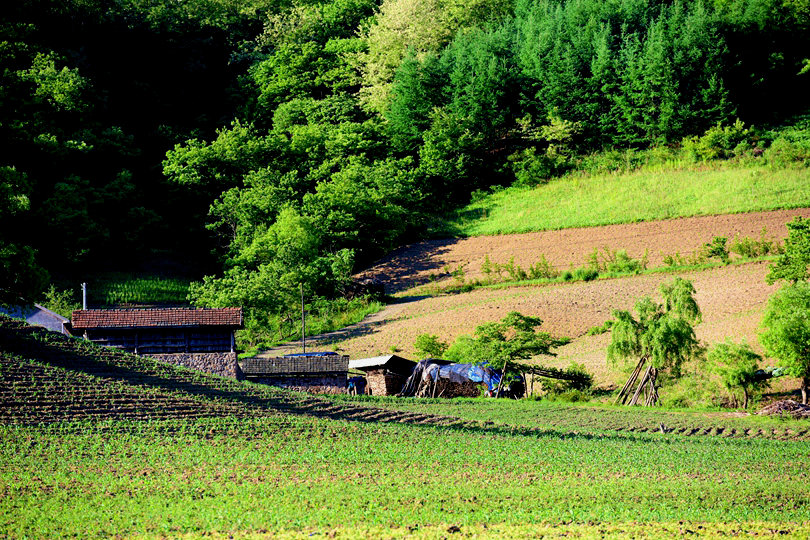 DSC_0981_副本_副本.jpg