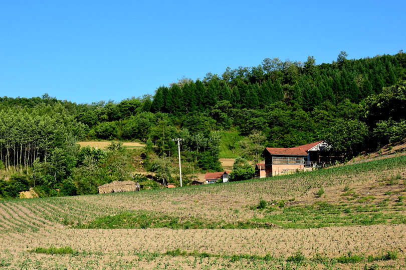 DSC_1027_副本_副本.jpg
