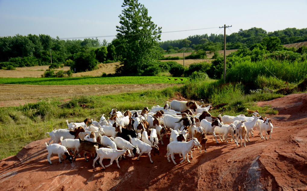 DSC_1605.JPG