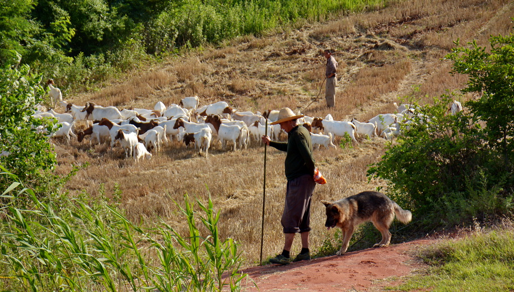 DSC_1632.JPG