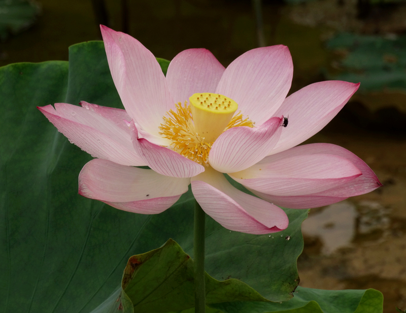 DSC07452_副本.jpg