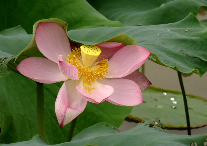DSC07458_副本.jpg