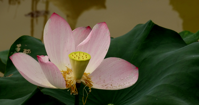 DSC07460_副本.jpg