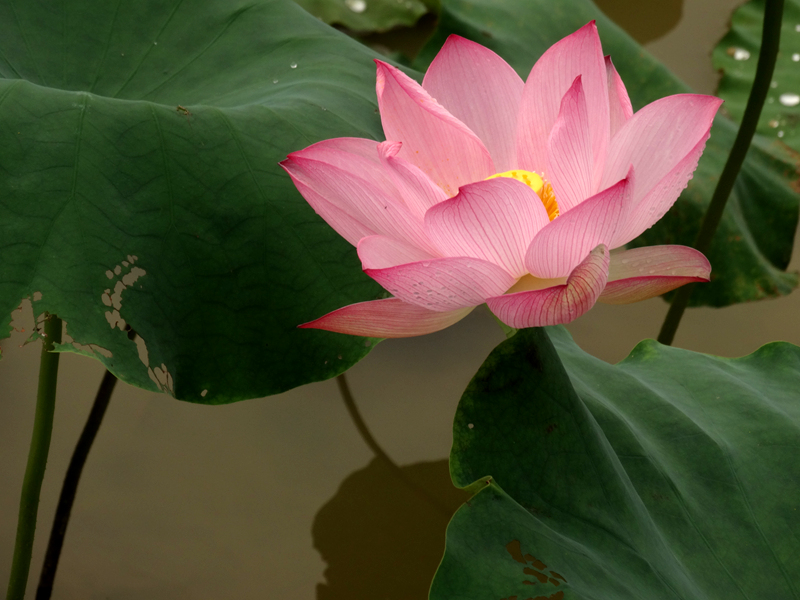DSC07461_副本.jpg