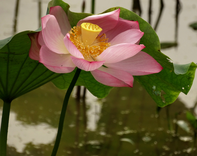 DSC07463_副本.jpg