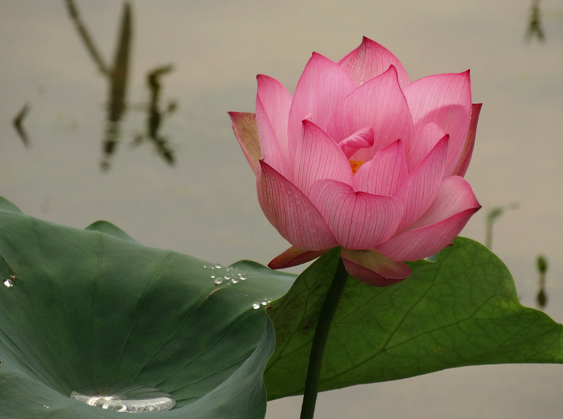 DSC07464_副本.jpg