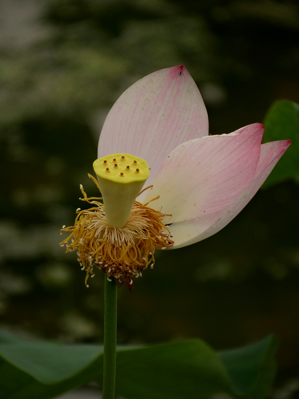 DSC07467_副本.jpg