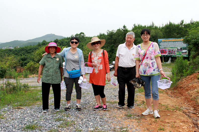 带着爸爸妈妈去摘杨梅3.jpg