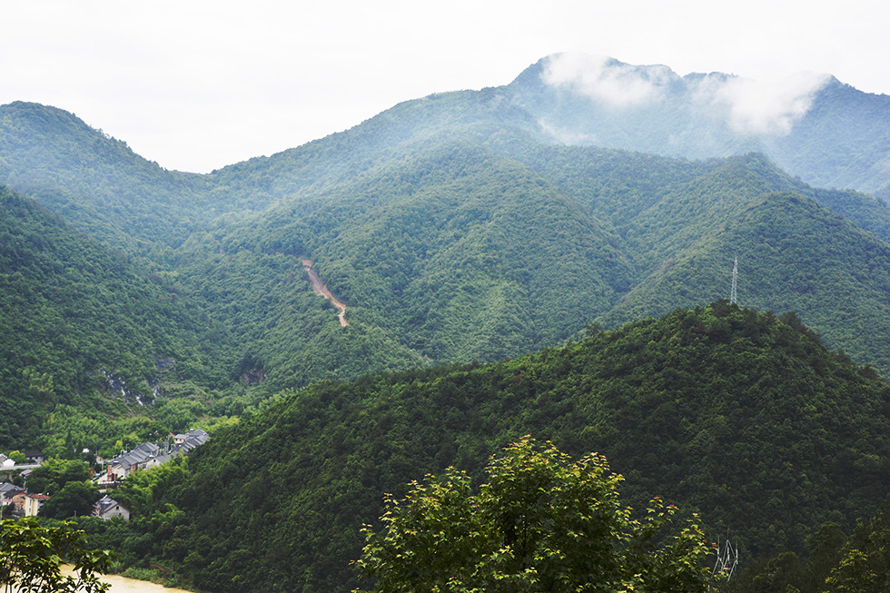 _DSC5828.jpg
