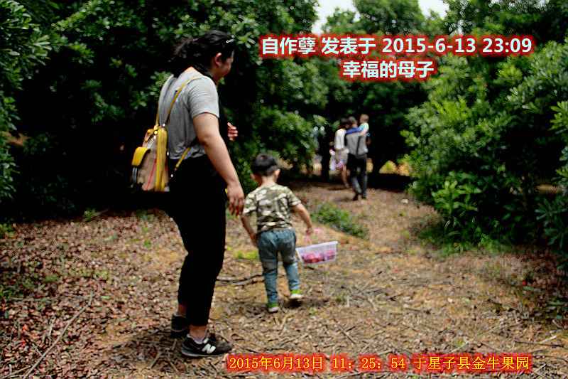 IMG_5462_2015年6月13日 11：25：54 于星子县金牛果园_您说的对！.jpg