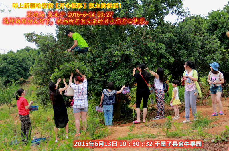 IMG_5411_2015年6月13日 10：30：32 于星子县金牛果园_印上新疆哈密的【开心摄影】版主.jpg
