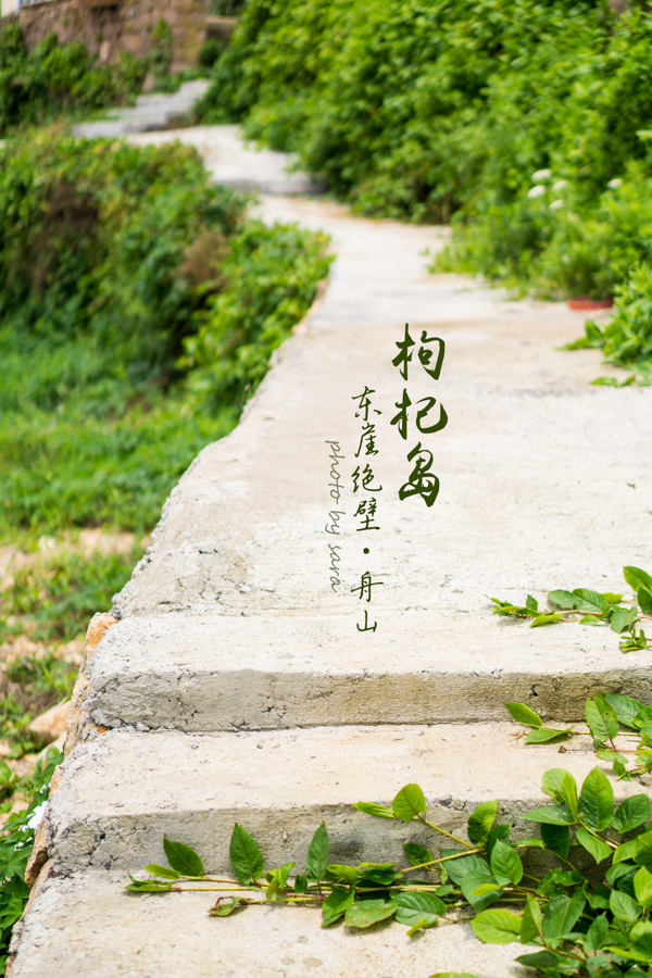 DSC08699.jpg
