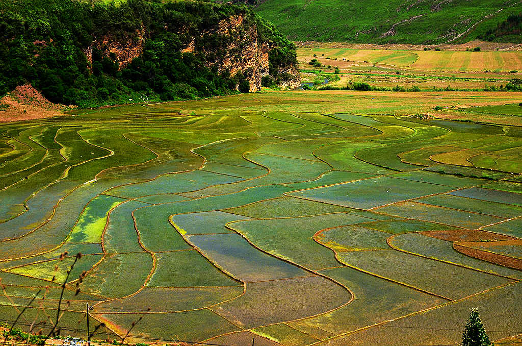 DSC_0101_青山绿水春常在.jpg