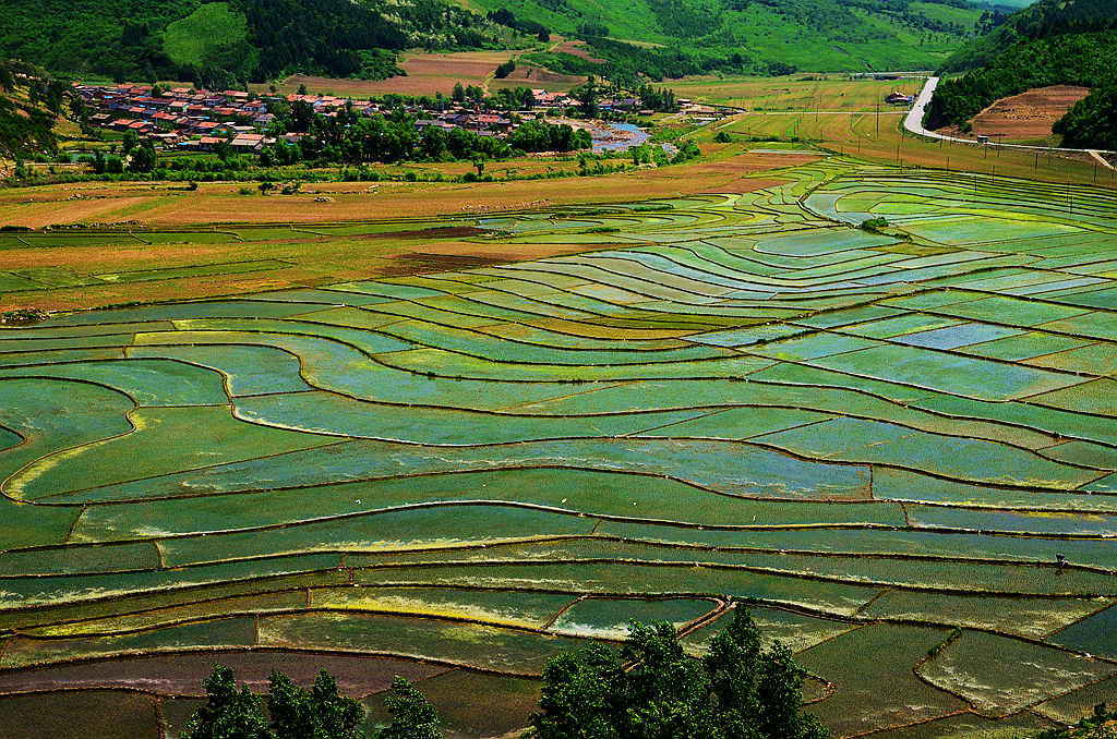 DSC_0231_小夹河村.jpg