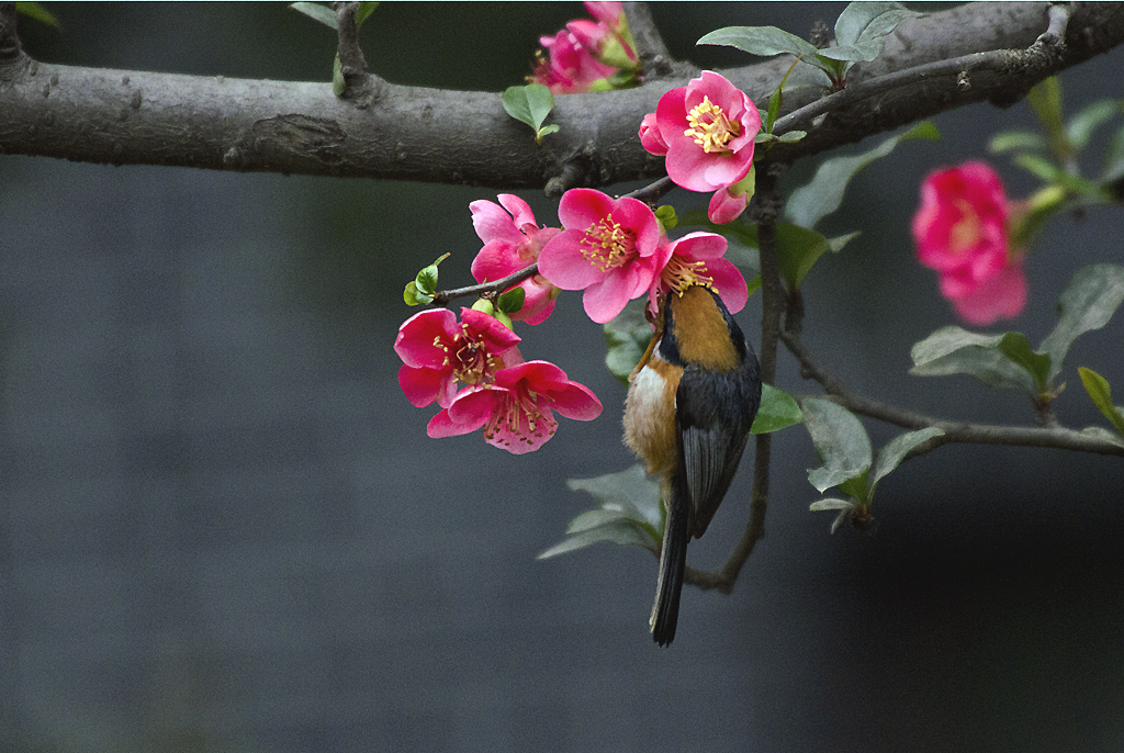 IMGP3373副本.jpg