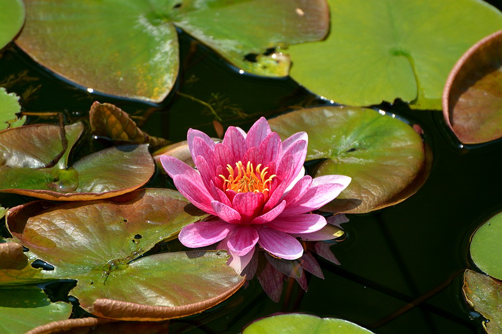 DSC_6127_副本.jpg