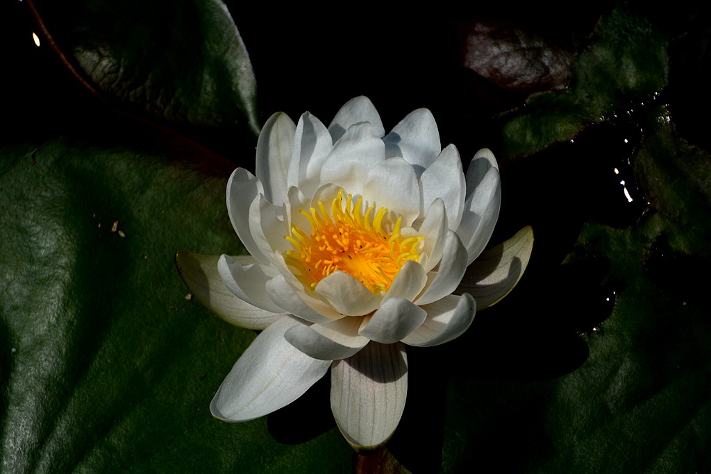 DSC_6114_副本.jpg