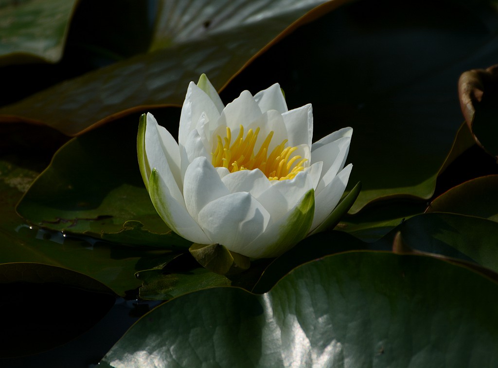DSC_6085_副本.jpg