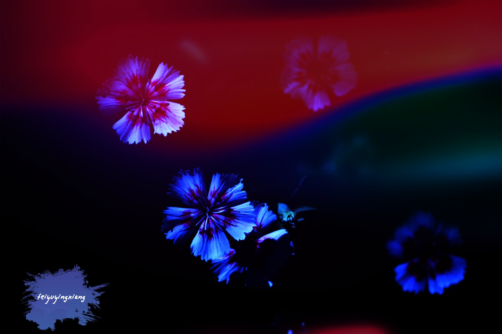 2015-06-16-10-07-59.jpg